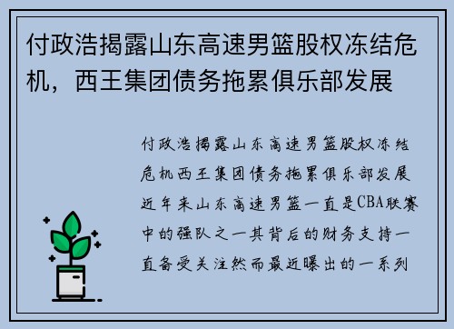 付政浩揭露山东高速男篮股权冻结危机，西王集团债务拖累俱乐部发展