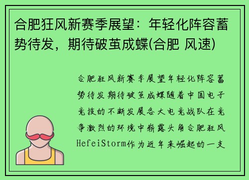 合肥狂风新赛季展望：年轻化阵容蓄势待发，期待破茧成蝶(合肥 风速)